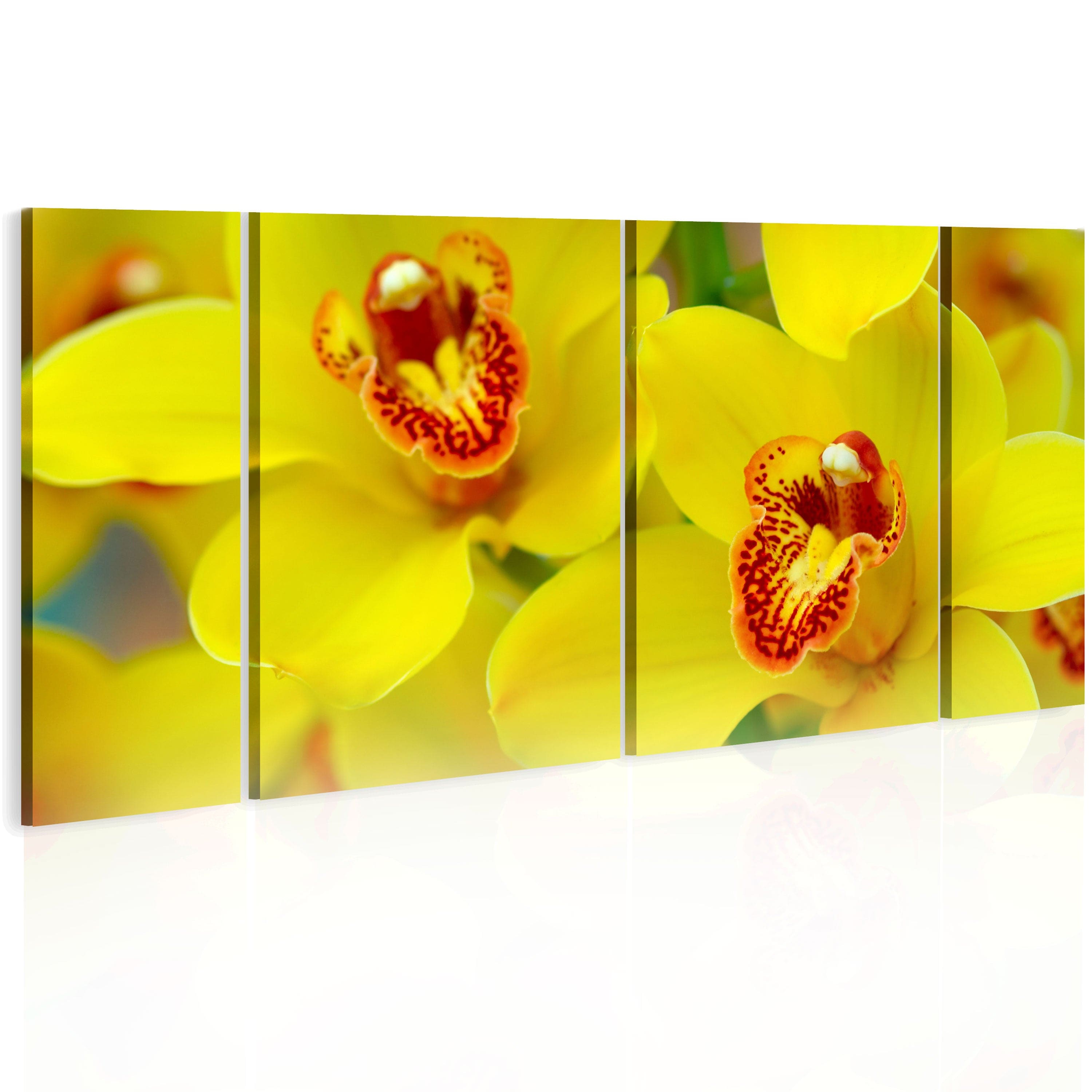 Glezna - Orchids - intensity of yellow color Home Trends
