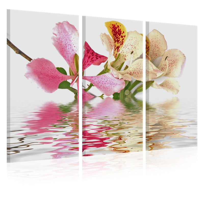 Glezna - Orhideja ar krāsainiem plankumiem Home Trends