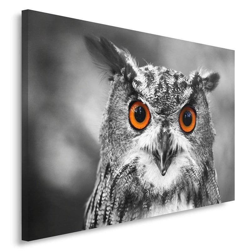 Kanva - Owl 2  Home Trends DECO