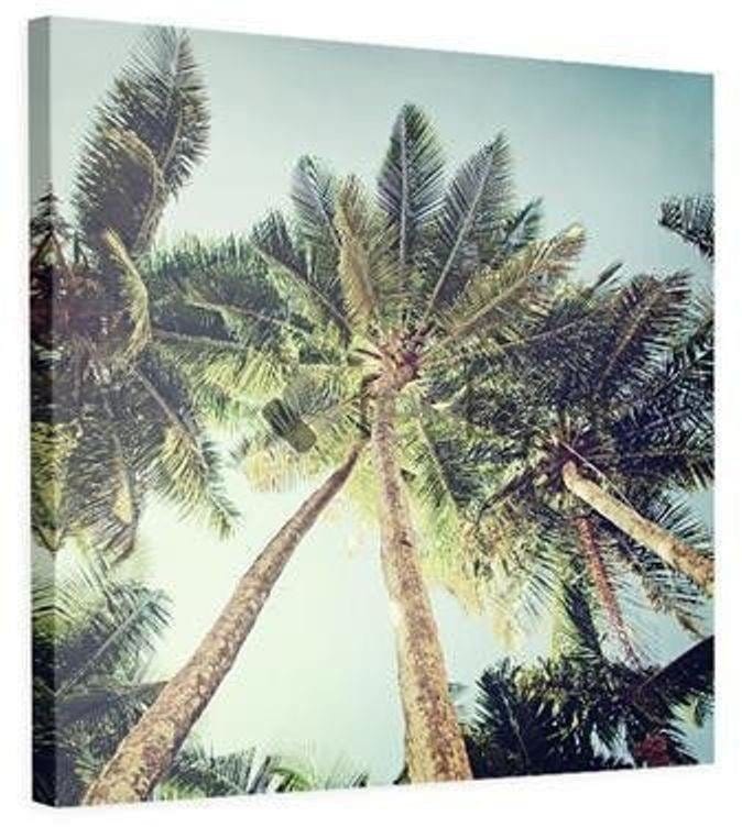 Kanva - Palm  Home Trends DECO