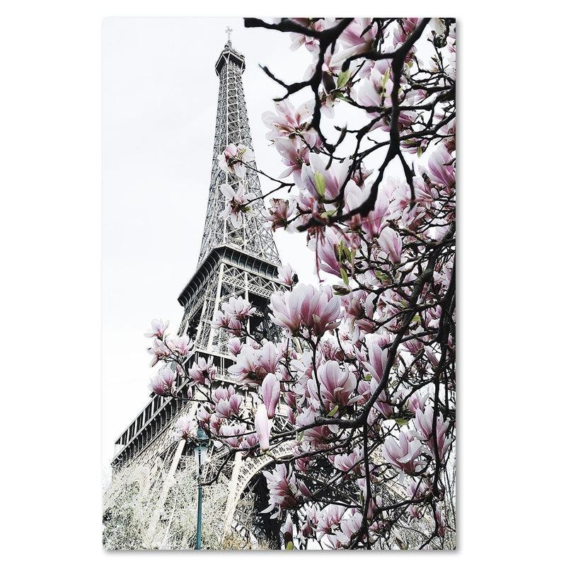Kanva - Paris Magnolias  Home Trends DECO