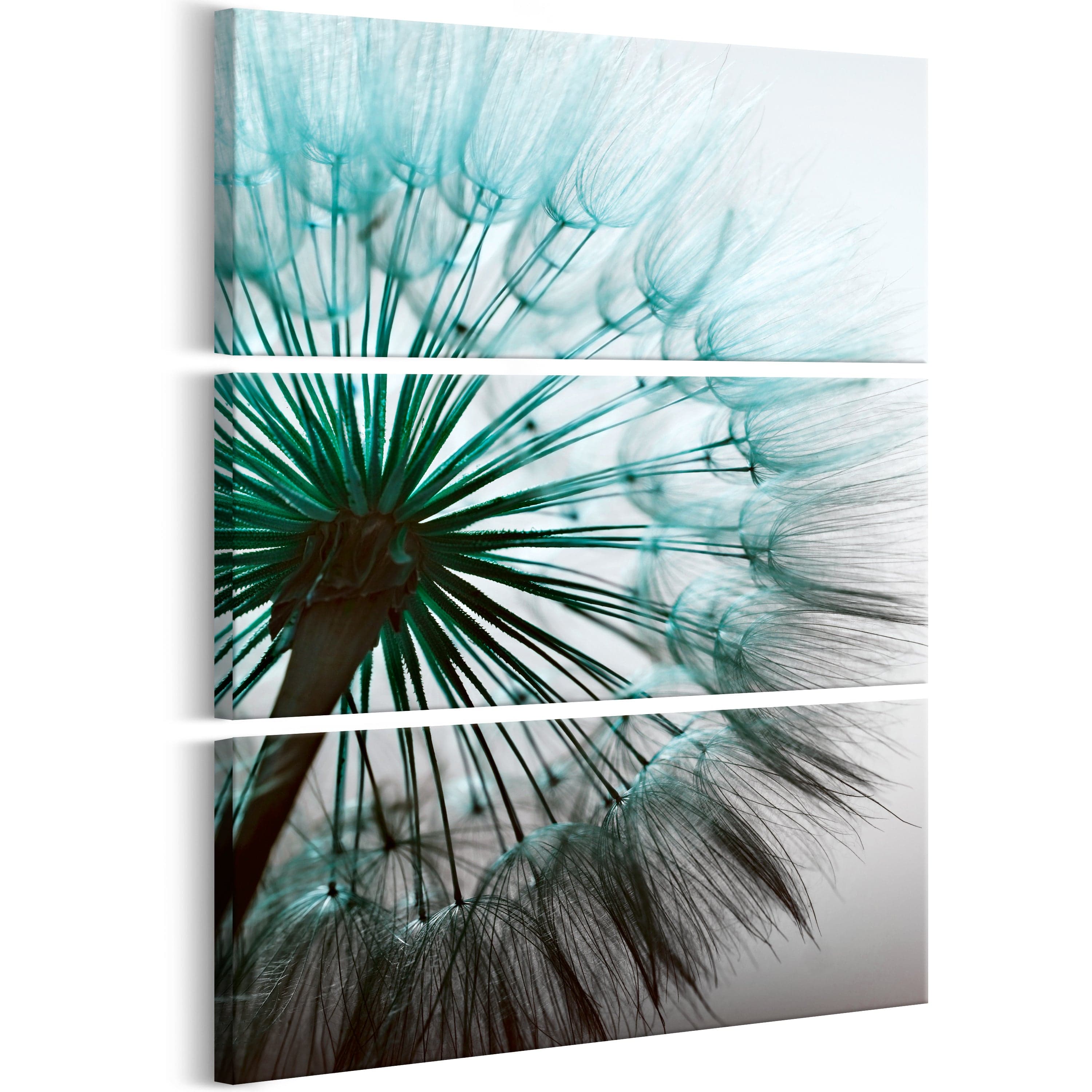 Glezna - Perfect Dandelion I Home Trends