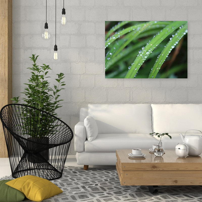 Kanva - Pilieni uz lapām (makro) Home Trends DECO
