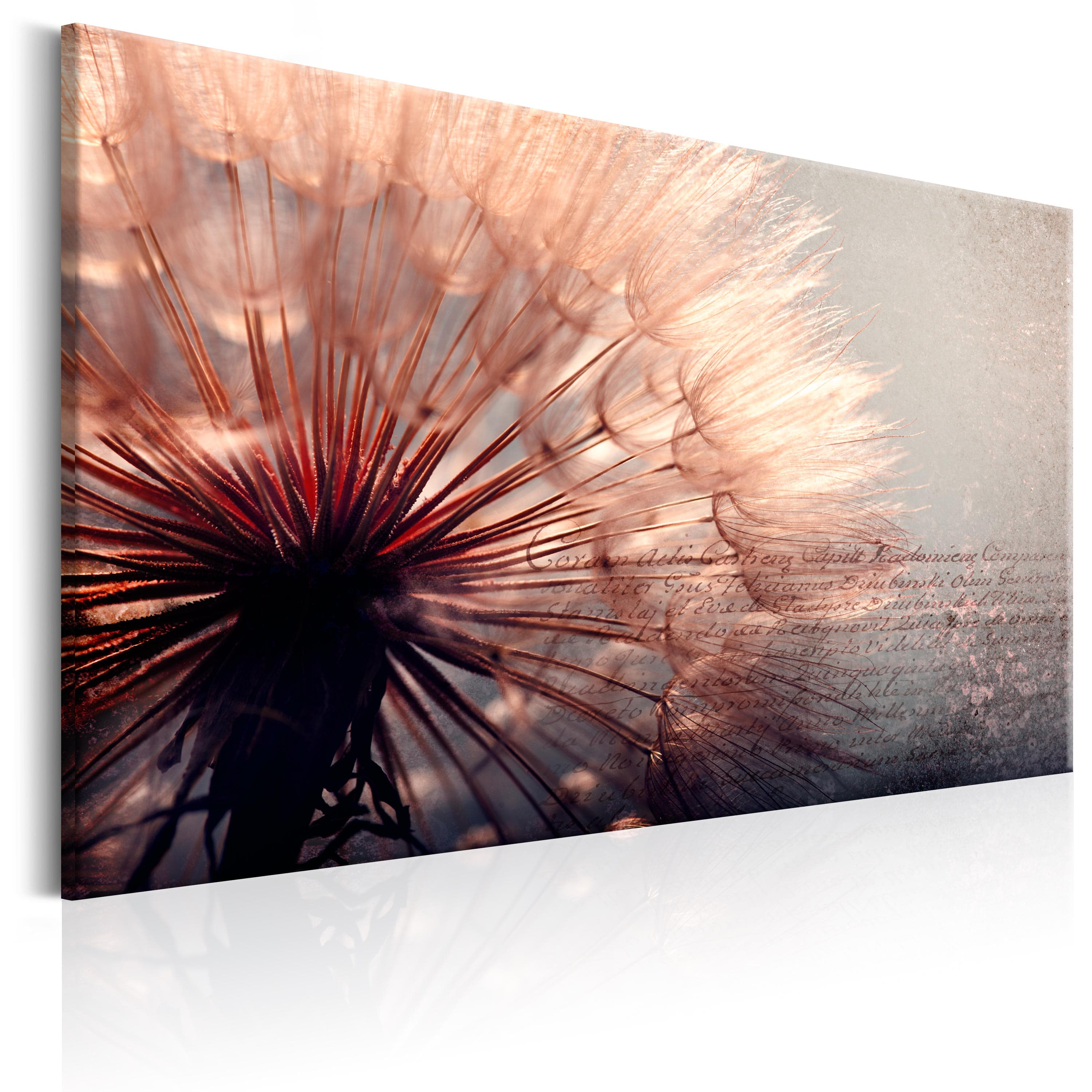 Glezna - Pink Gentleness Home Trends