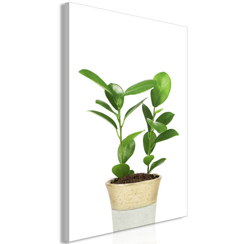 Glezna - Plant In Pot (1 Part) Vertical Home Trends