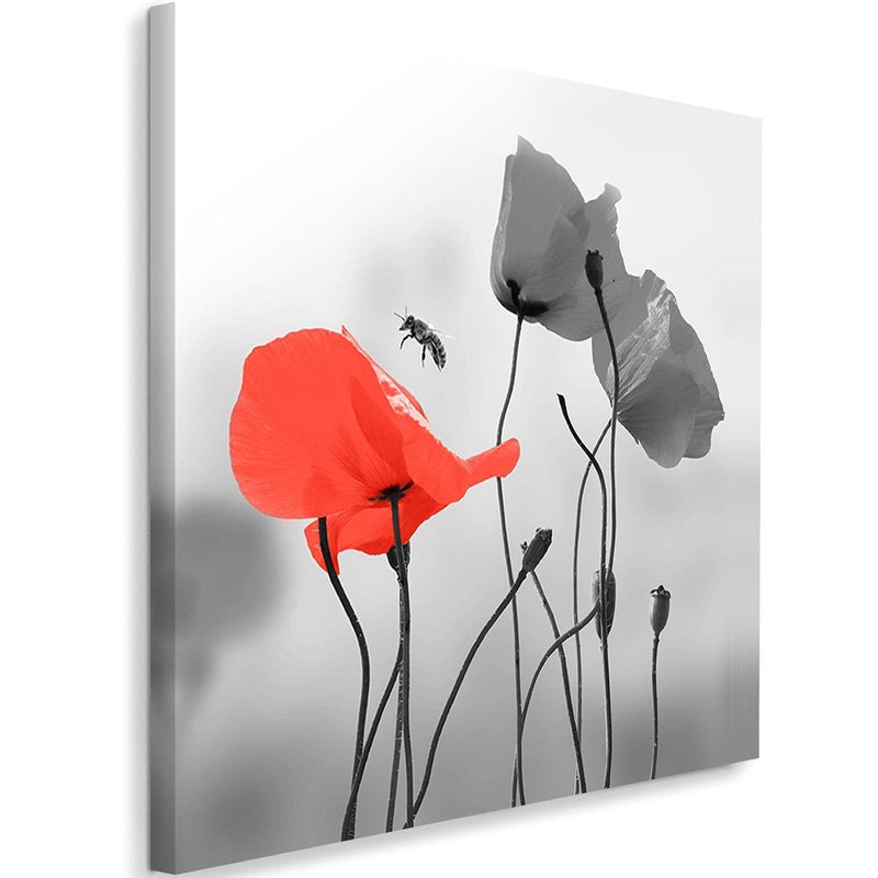 Kanva - Poppies And Bee  Home Trends DECO