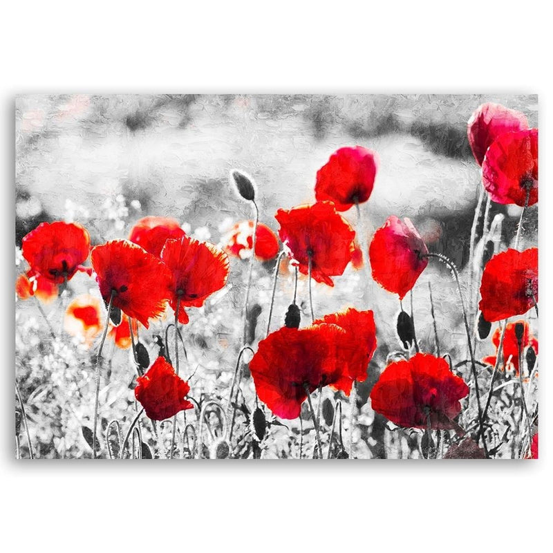 Kanva - Poppy Flowers 2  Home Trends DECO