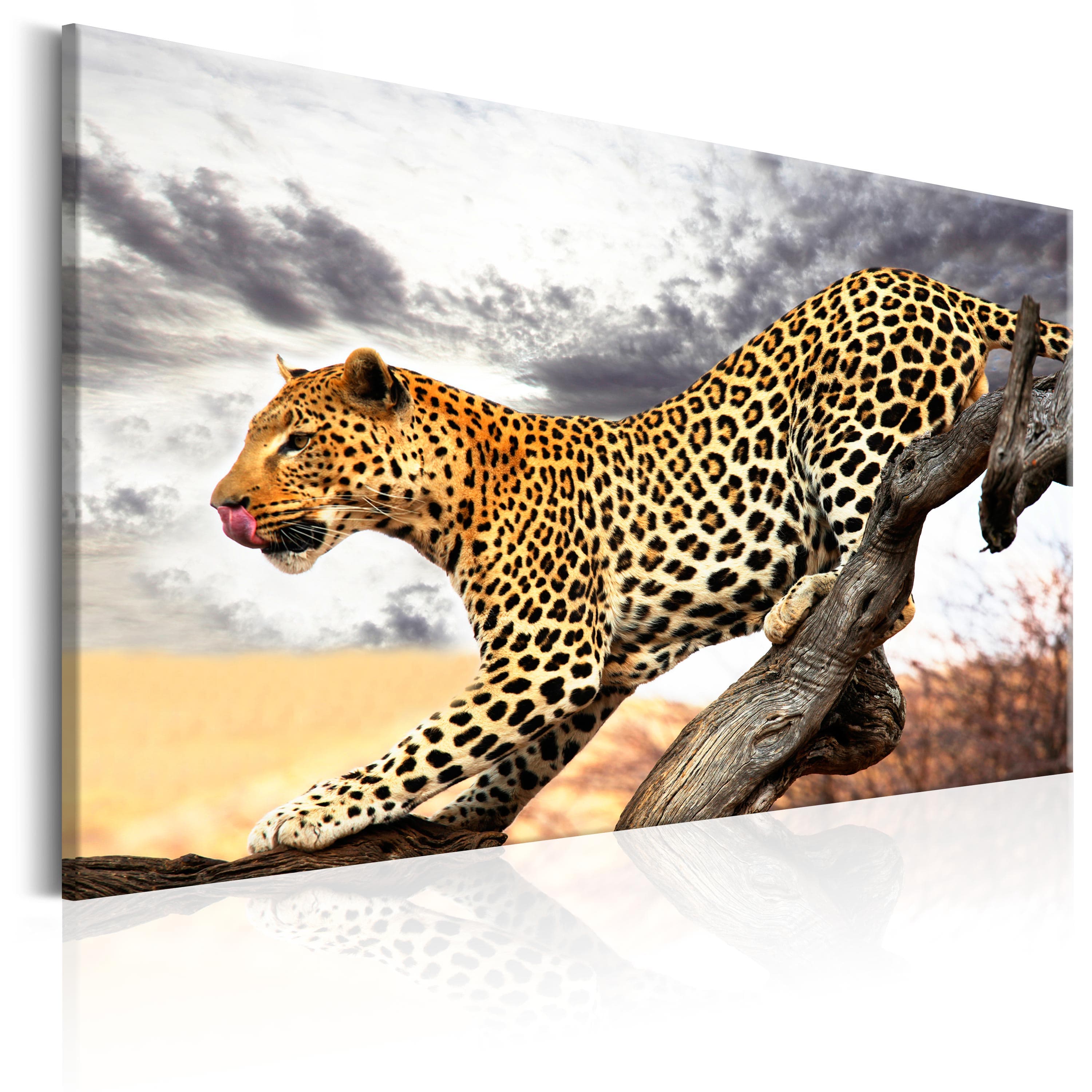 Glezna - Predatory Stare Home Trends