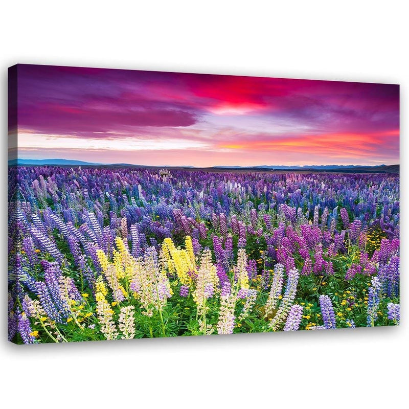 Kanva - Purple Flowers  Home Trends DECO