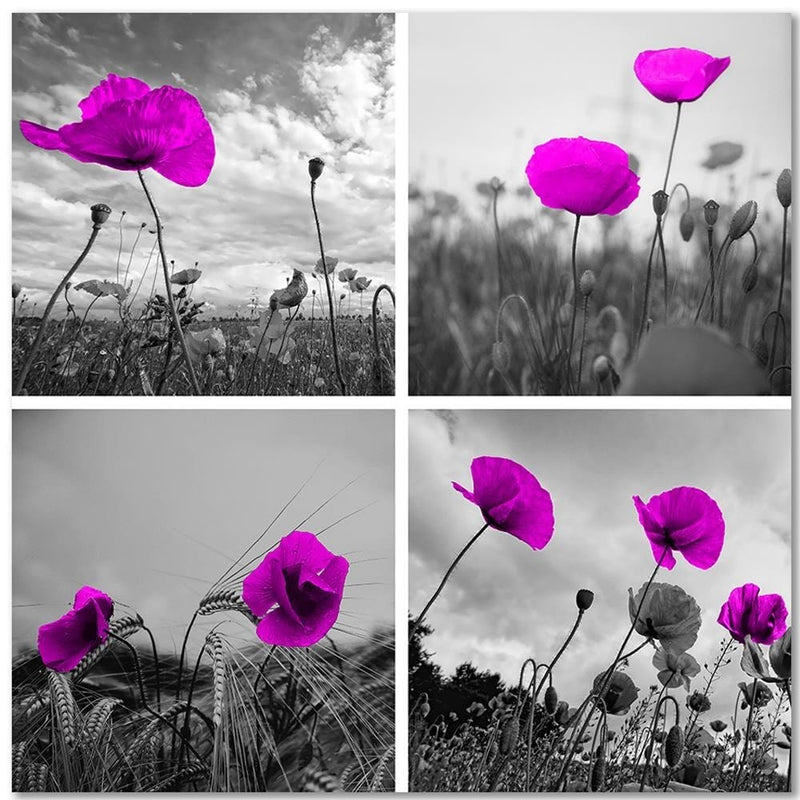 Kanva - Purple Poppies  Home Trends DECO