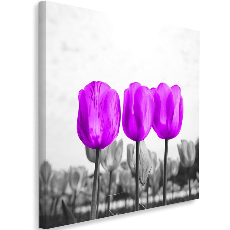 Kanva - Purple Tulips  Home Trends DECO