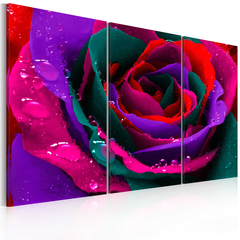 Glezna - Rainbow-hued rose Home Trends