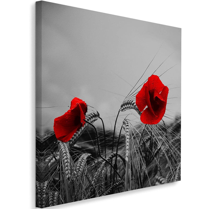 Kanva - Red Poppies And Corn  Home Trends DECO