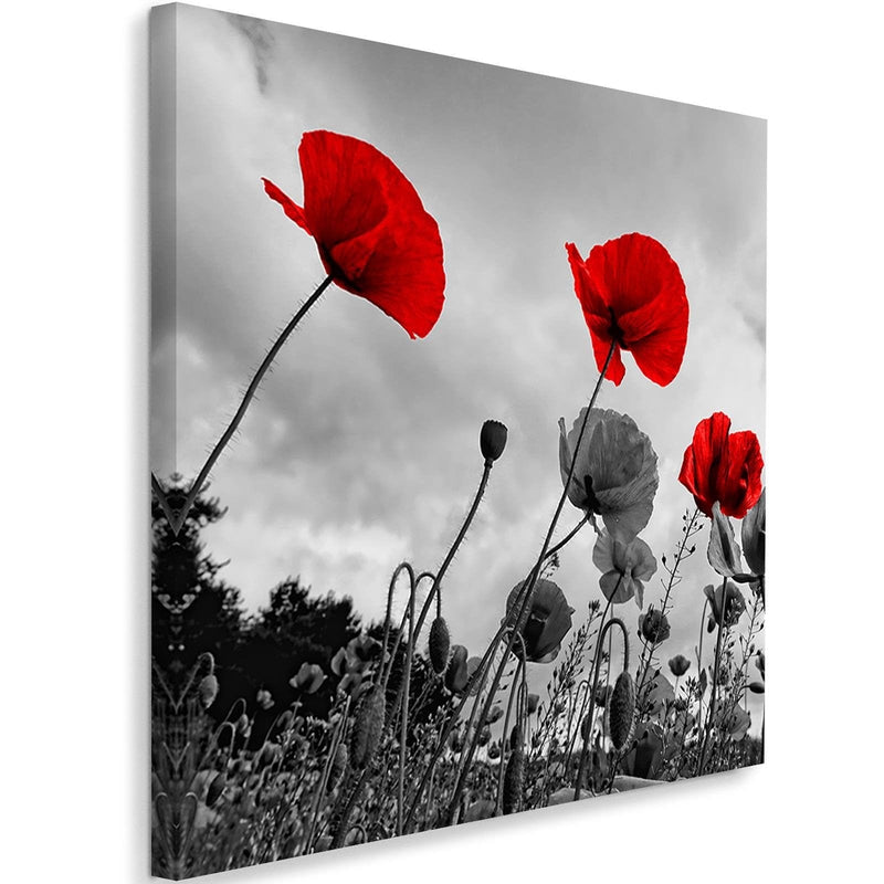 Kanva - Red Poppies On The Meadow  Home Trends DECO