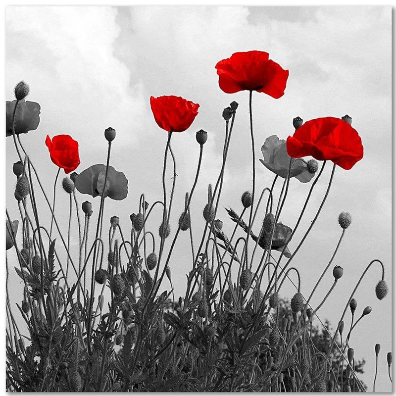 Kanva - Red Poppy Flowers  Home Trends DECO