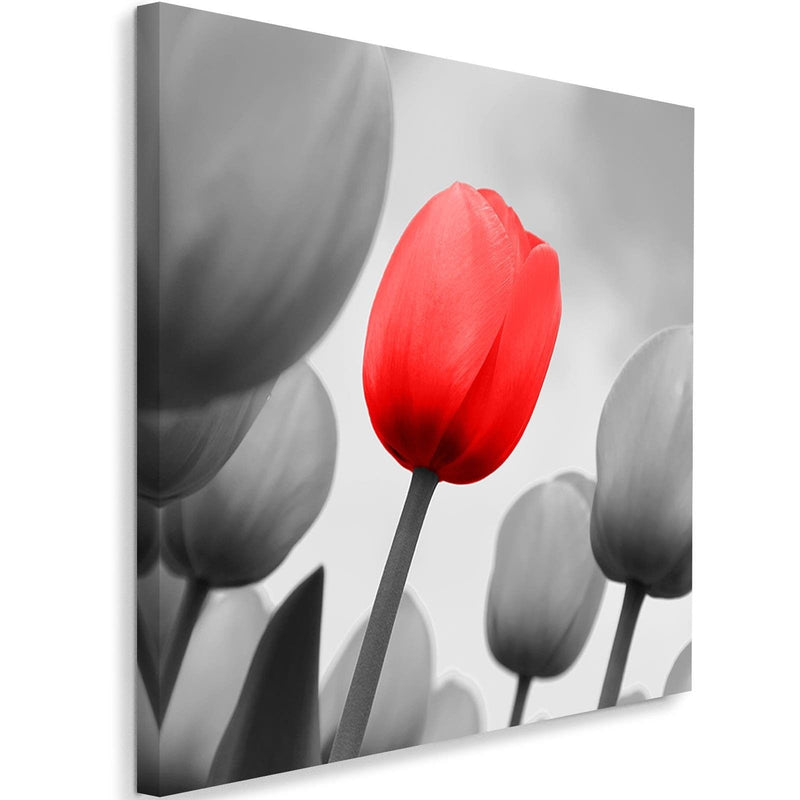 Kanva - Red Tulip In Gray  Home Trends DECO