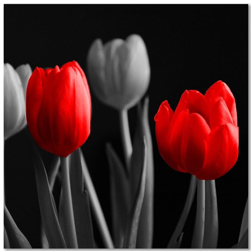 Kanva - Red Tulips  Home Trends DECO