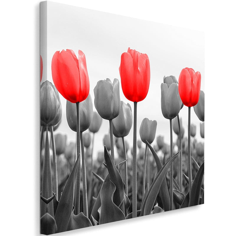Kanva - Red Tulips On The Meadow  Home Trends DECO