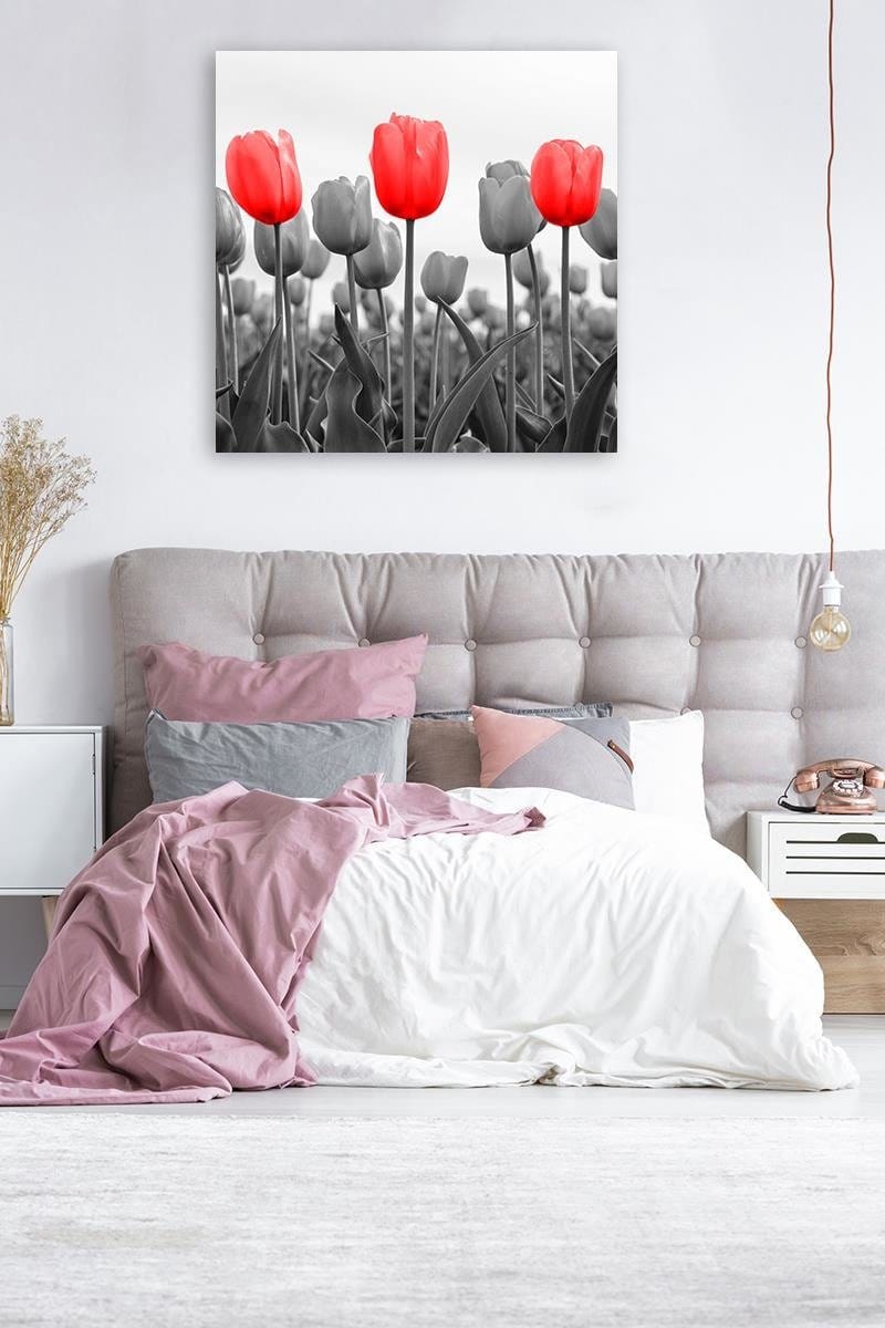 Kanva - Red Tulips On The Meadow  Home Trends DECO