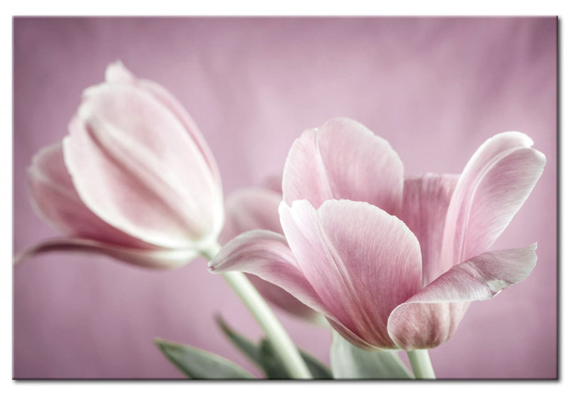 Glezna - Romantic Tulips Home Trends