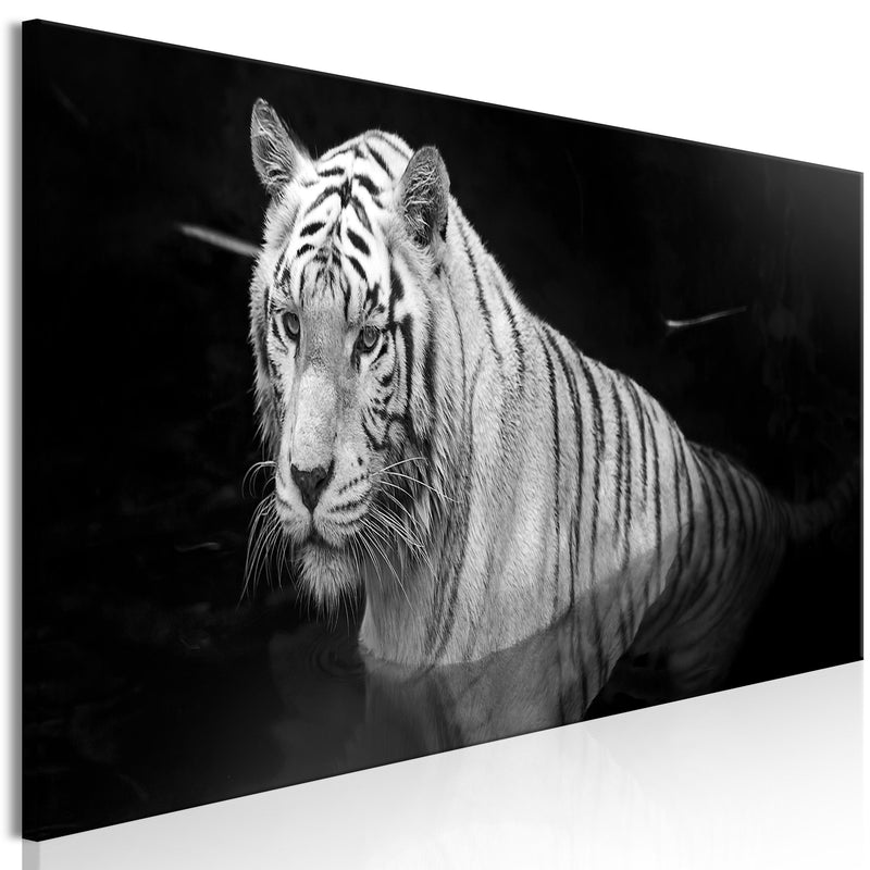 Kanva - Shining Tiger (1 Part) Black and White Narrow Home Trends