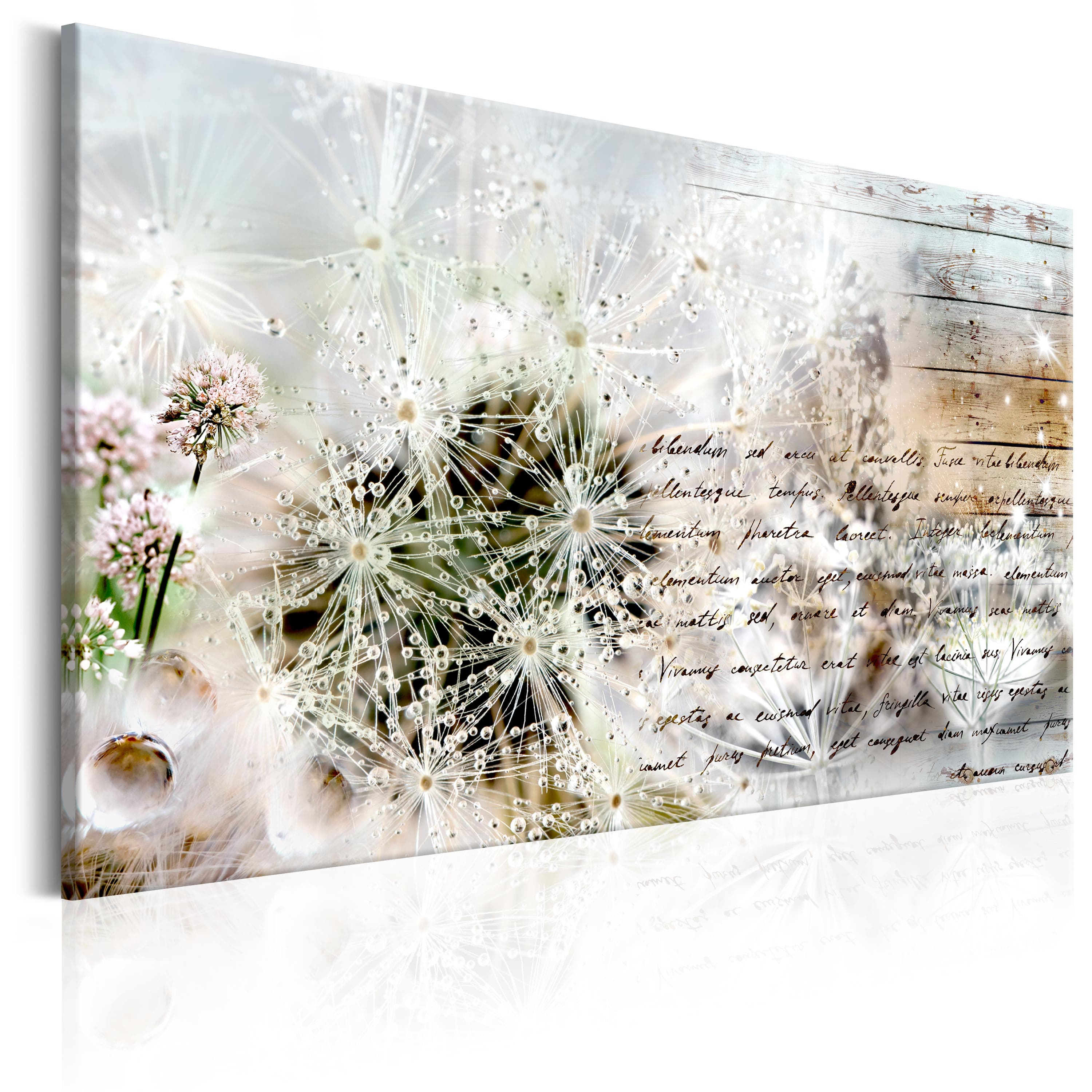 Glezna - Starry Dandelions Home Trends