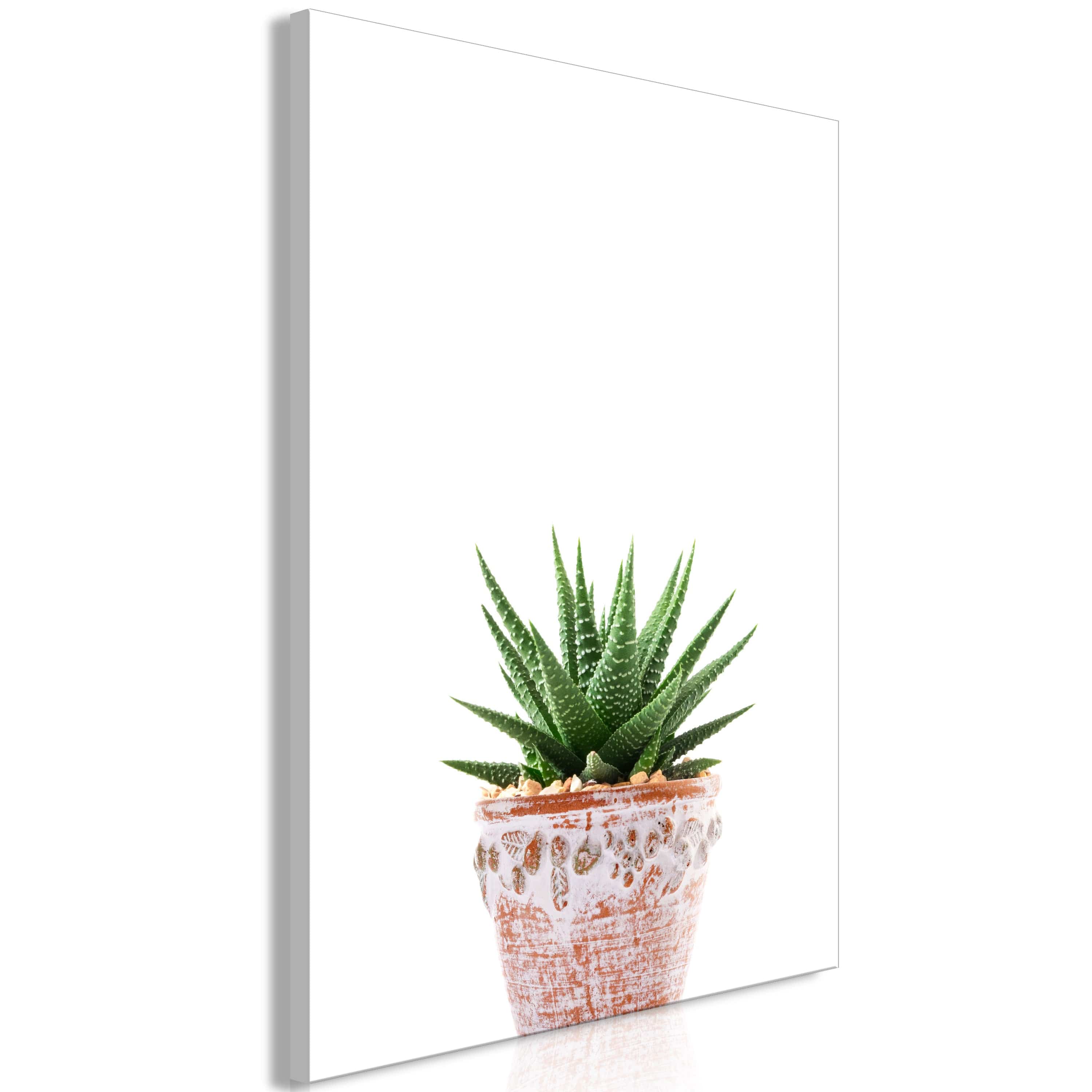Glezna - Succulents In Pot (1 Part) Vertical Home Trends
