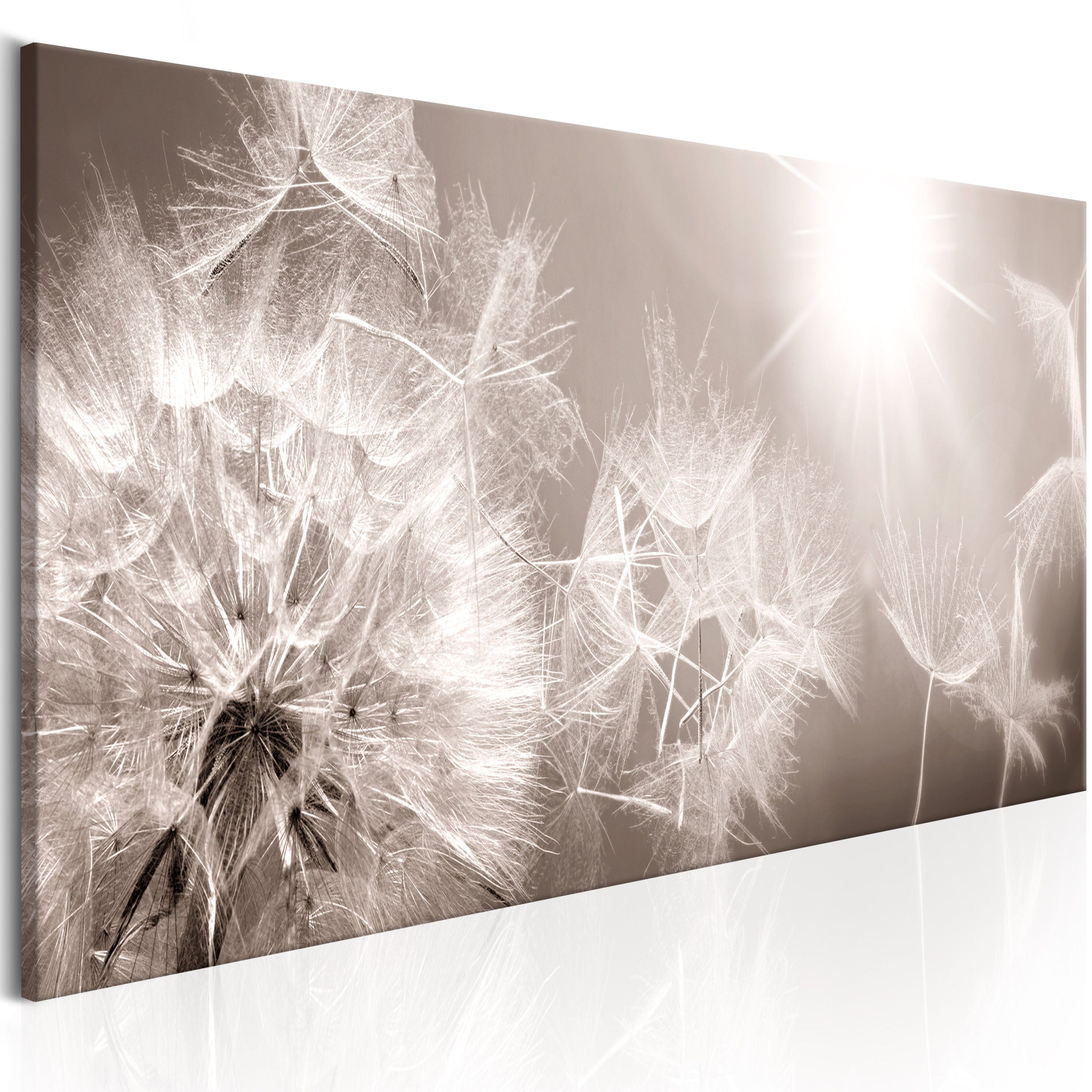Glezna - Summer Dandelions Home Trends