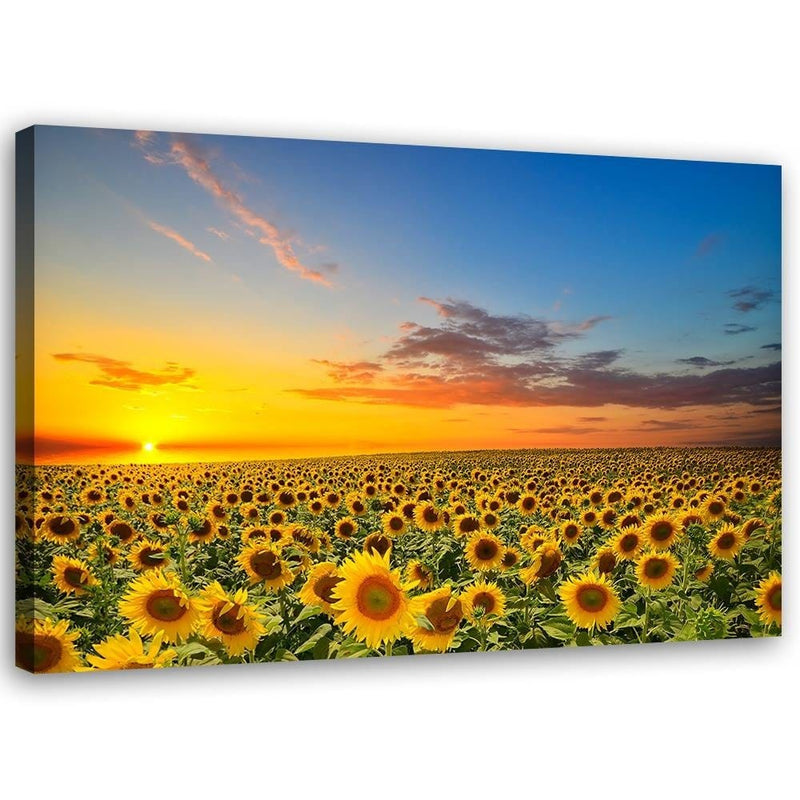 Kanva - Sunflowers  Home Trends DECO