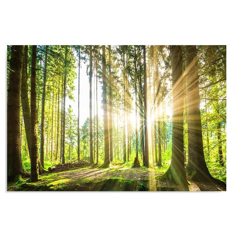Kanva - Sunny Forest  Home Trends DECO