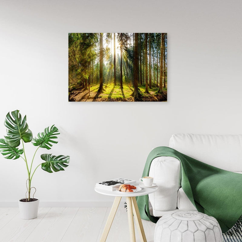 Kanva - Sunshine Behind The Trees  Home Trends DECO