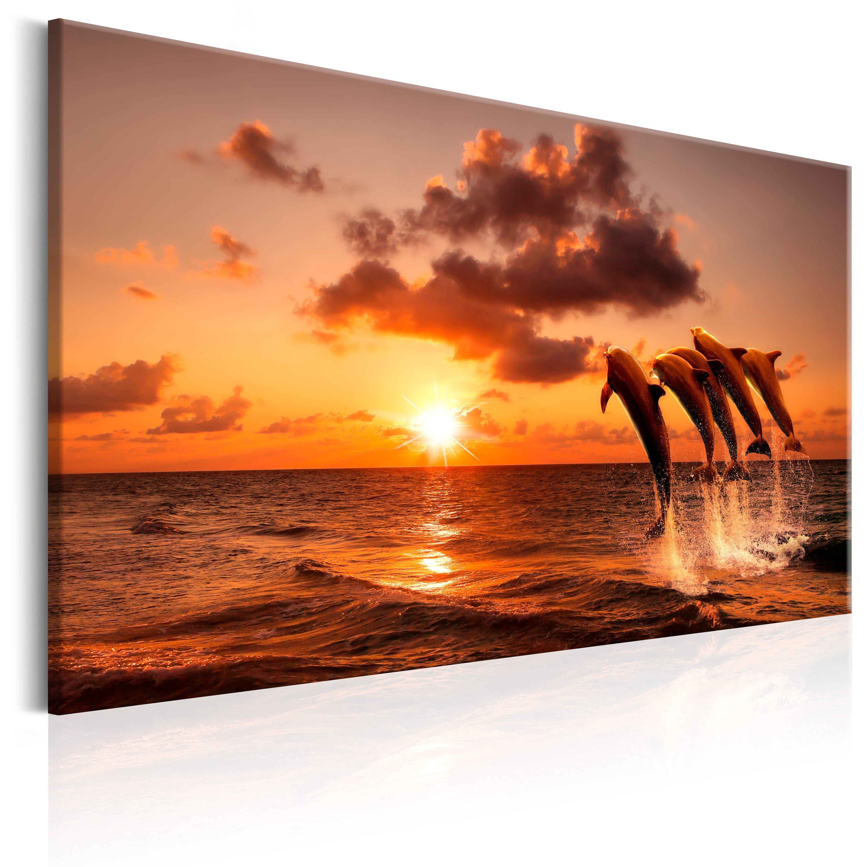 Glezna - The Dolphin's Dance Home Trends