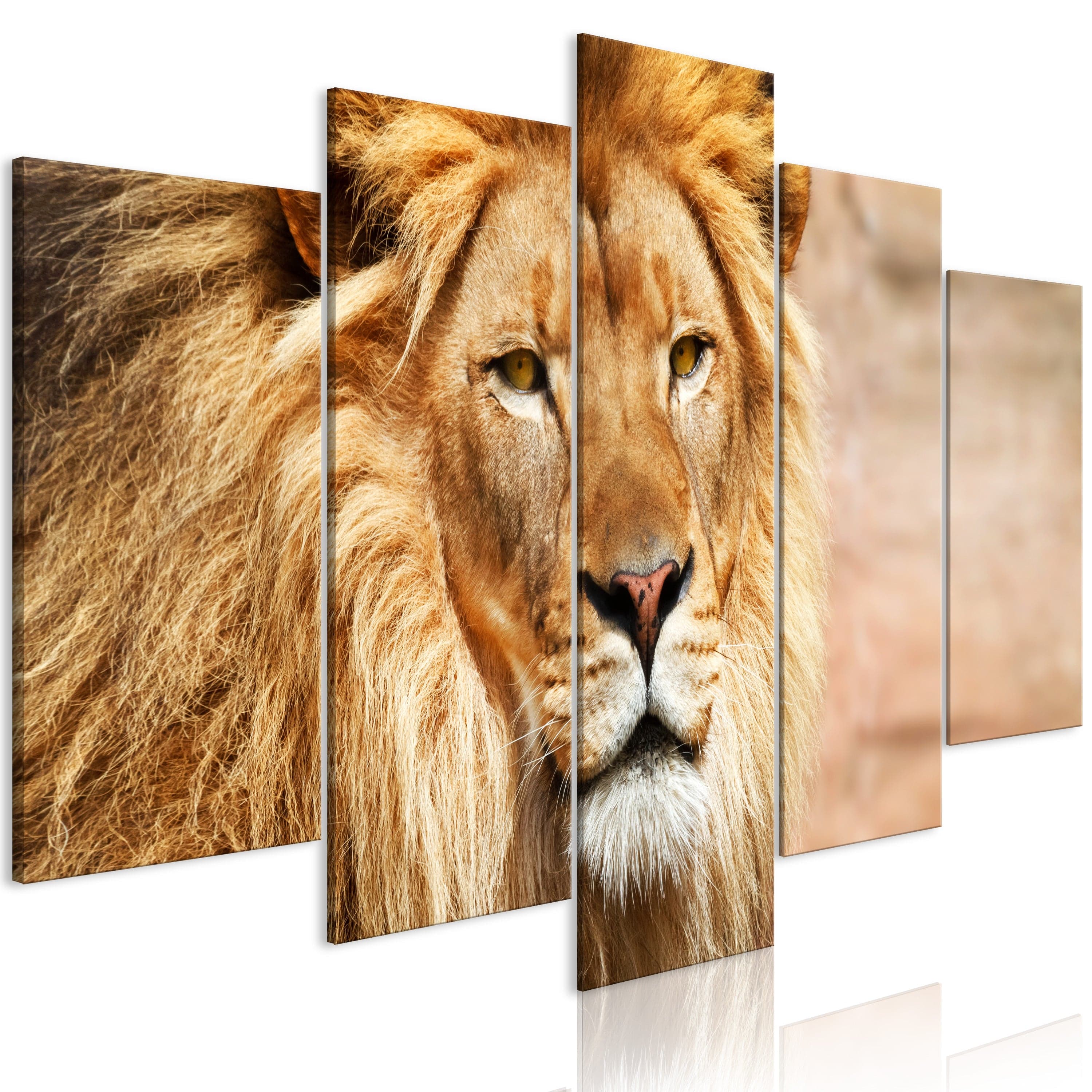Glezna - The King of Beasts (5 Parts) Wide Orange Home Trends