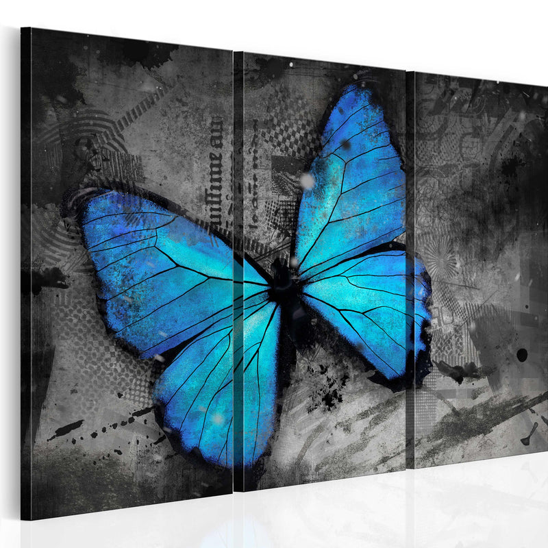 Glezna - The study of butterfly - triptych Home Trends