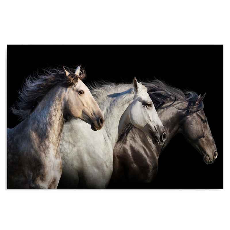 Kanva - Three Horses  Home Trends DECO