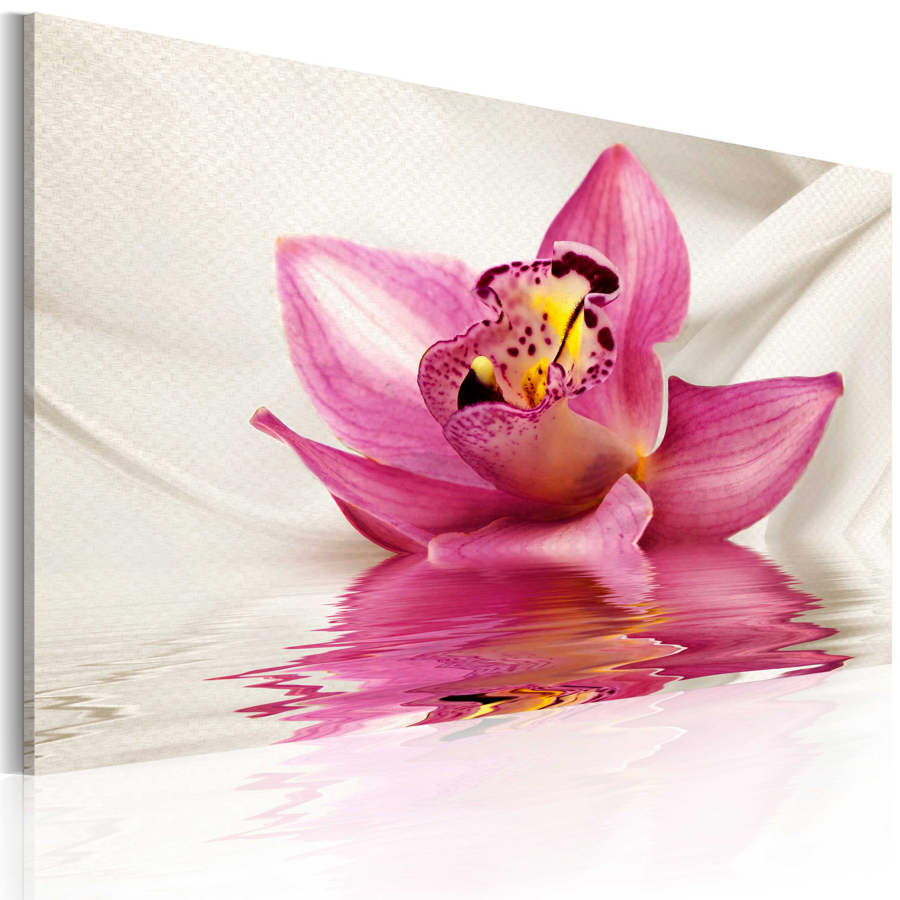 Glezna - Unusual orchid 60x40 Home Trends