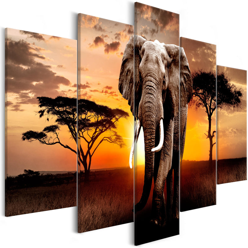 Glezna - Wandering Elephant (5 Parts) Wide 225x100 Home Trends