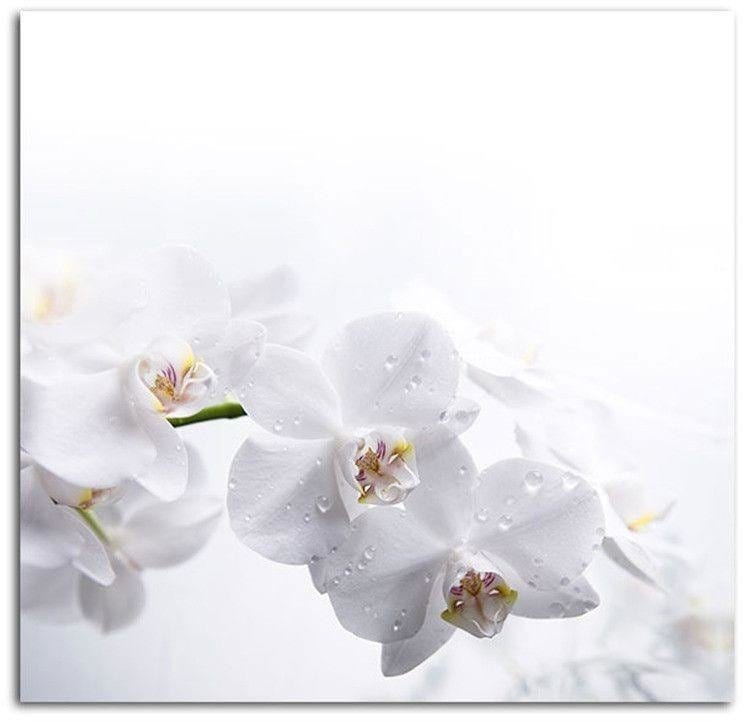 Kanva - White Orchids 1  Home Trends DECO