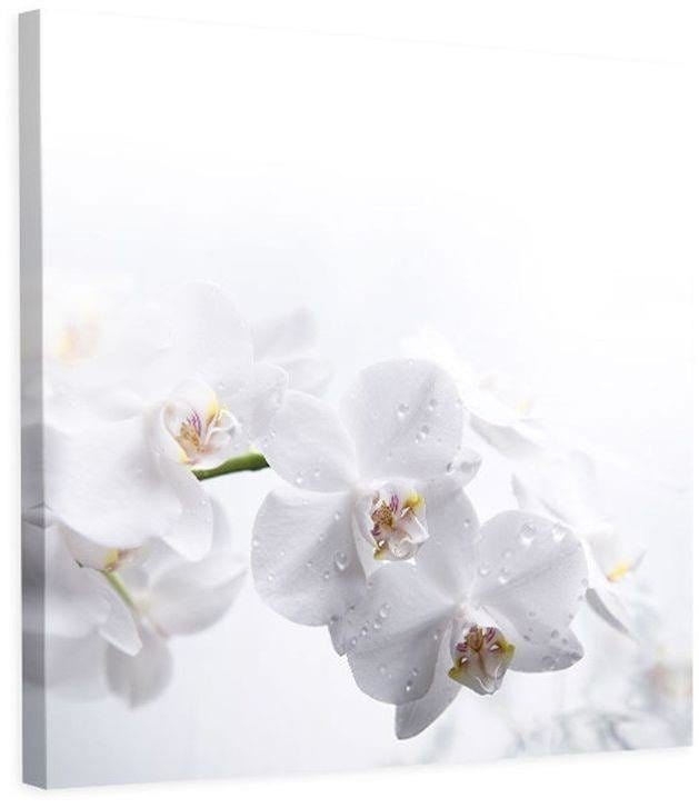 Kanva - White Orchids 1  Home Trends DECO