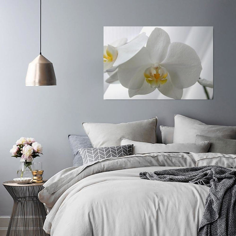 Kanva - White Orchids 2  Home Trends DECO
