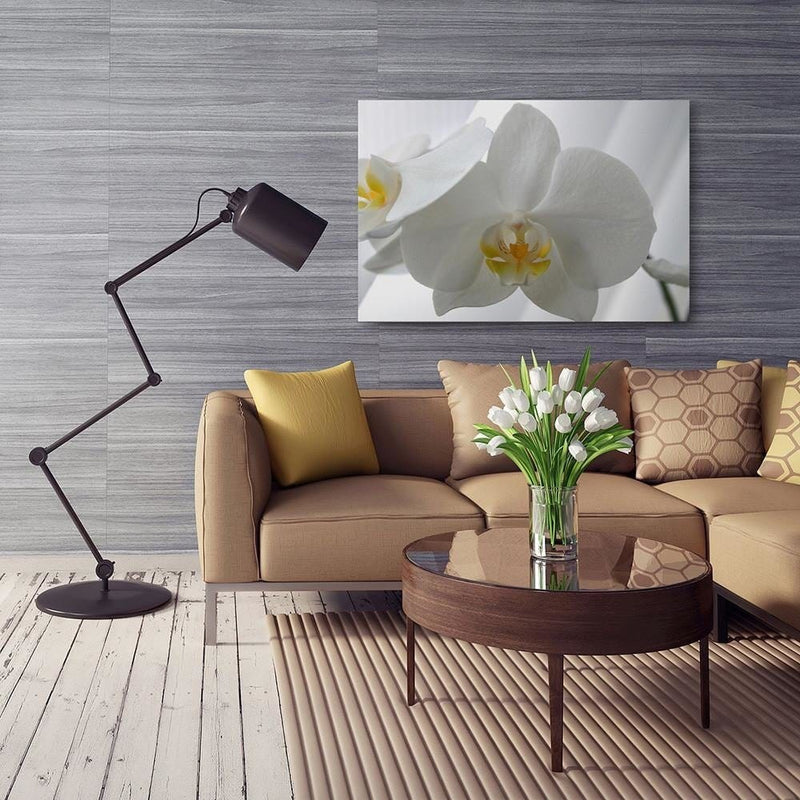 Kanva - White Orchids 2  Home Trends DECO