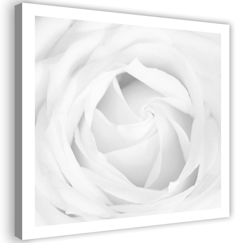 Kanva - White Rose 4  Home Trends DECO