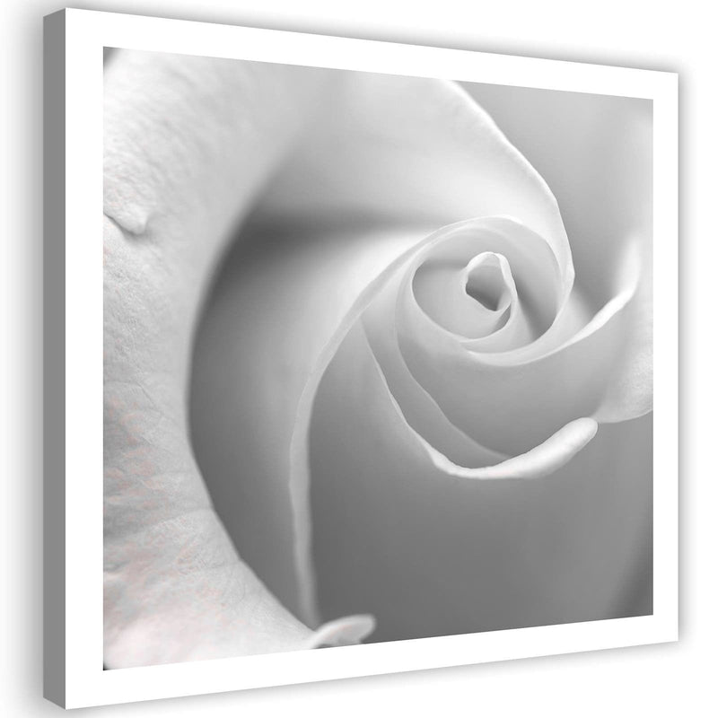Kanva - White Rose  Home Trends DECO