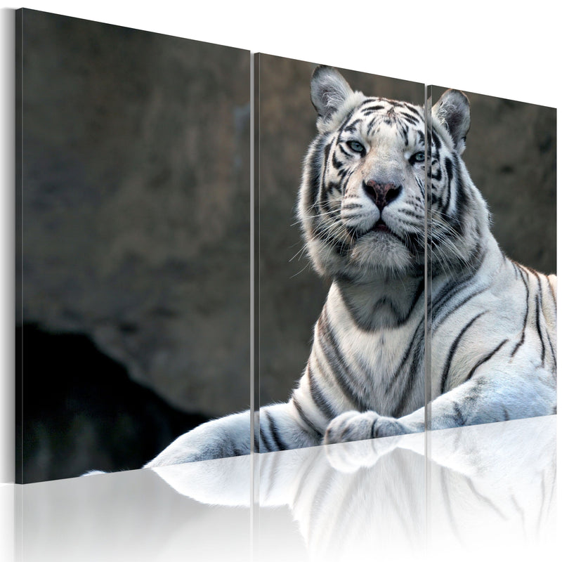 Glezna - White tiger Home Trends