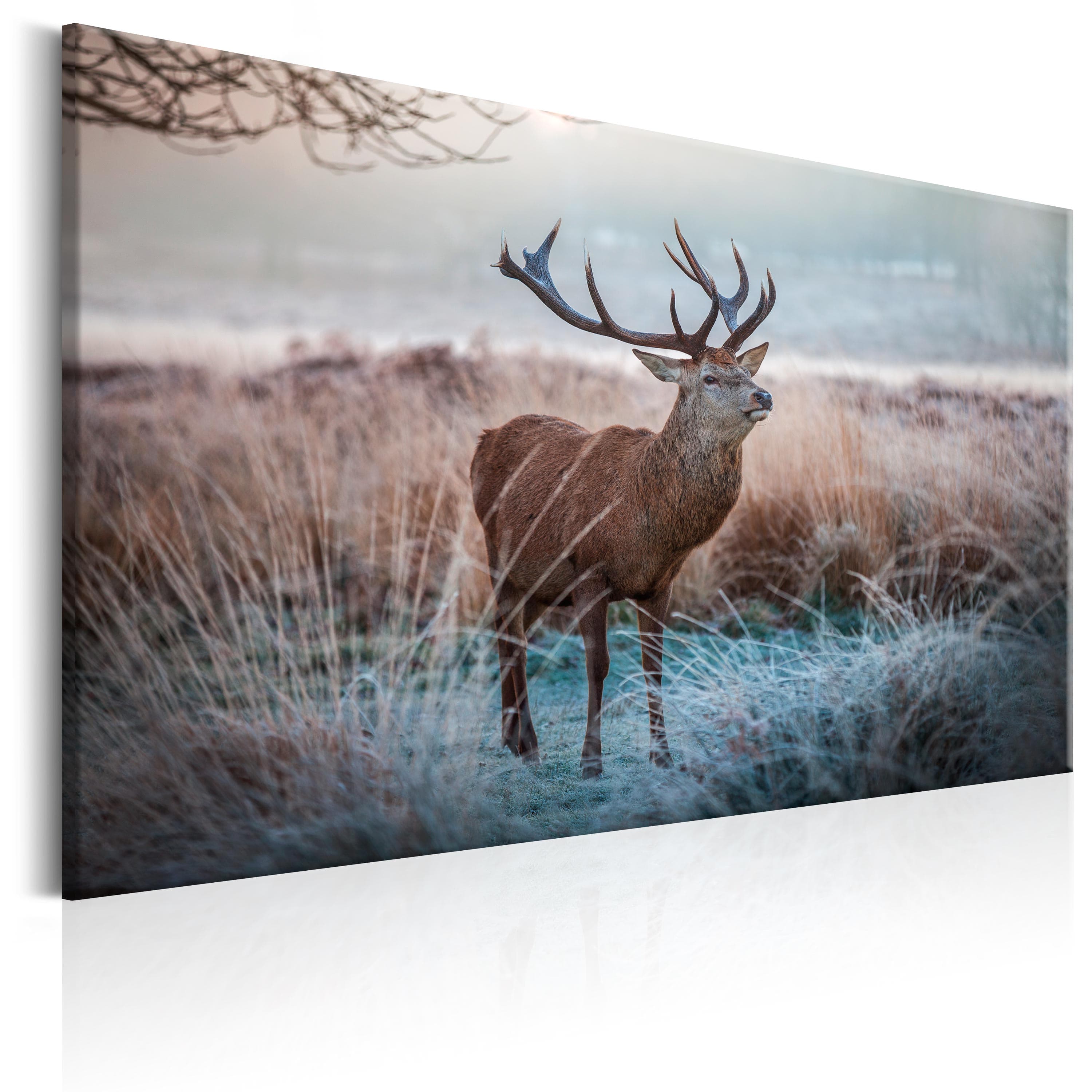 Glezna - Wild Animal Home Trends