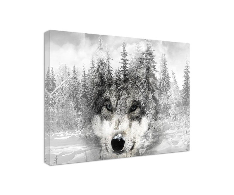 Kanva - Wolf On Winter Background  Home Trends DECO