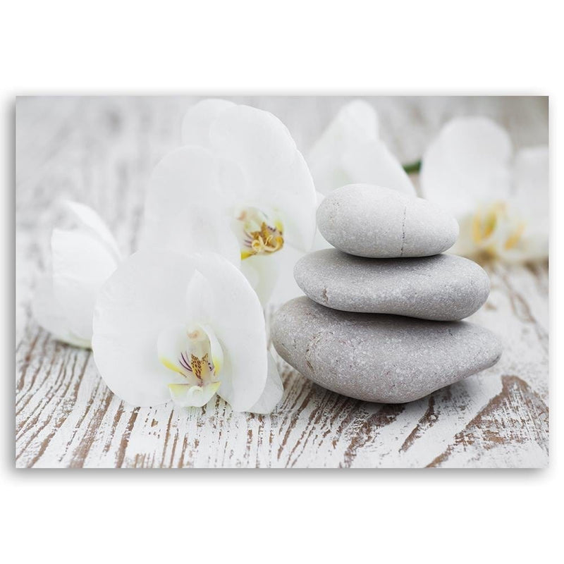 Kanva - Zen Flowers And Stones  Home Trends