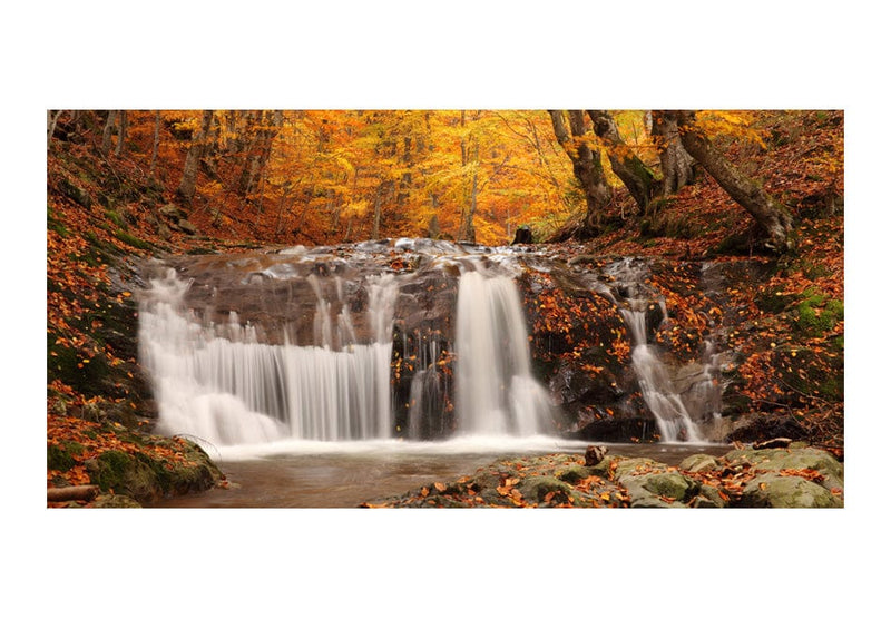 Lielas fototapetes ar meža skatu - Rudens ainava ūdenskritums mežā 550x270 E-interjers.lv