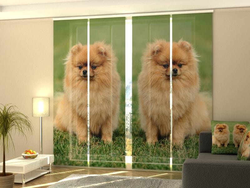 Paneļu aizkari (4 daļas) Brown Pomeranian Dogs Home Trends