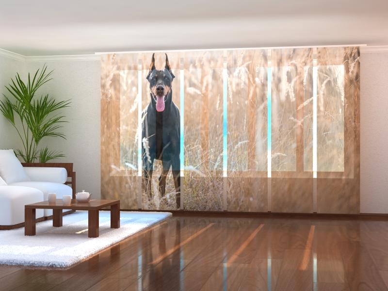 Paneļu aizkari (6 daļas) Doberman Pinscher in the Golden Grass Wellmira
